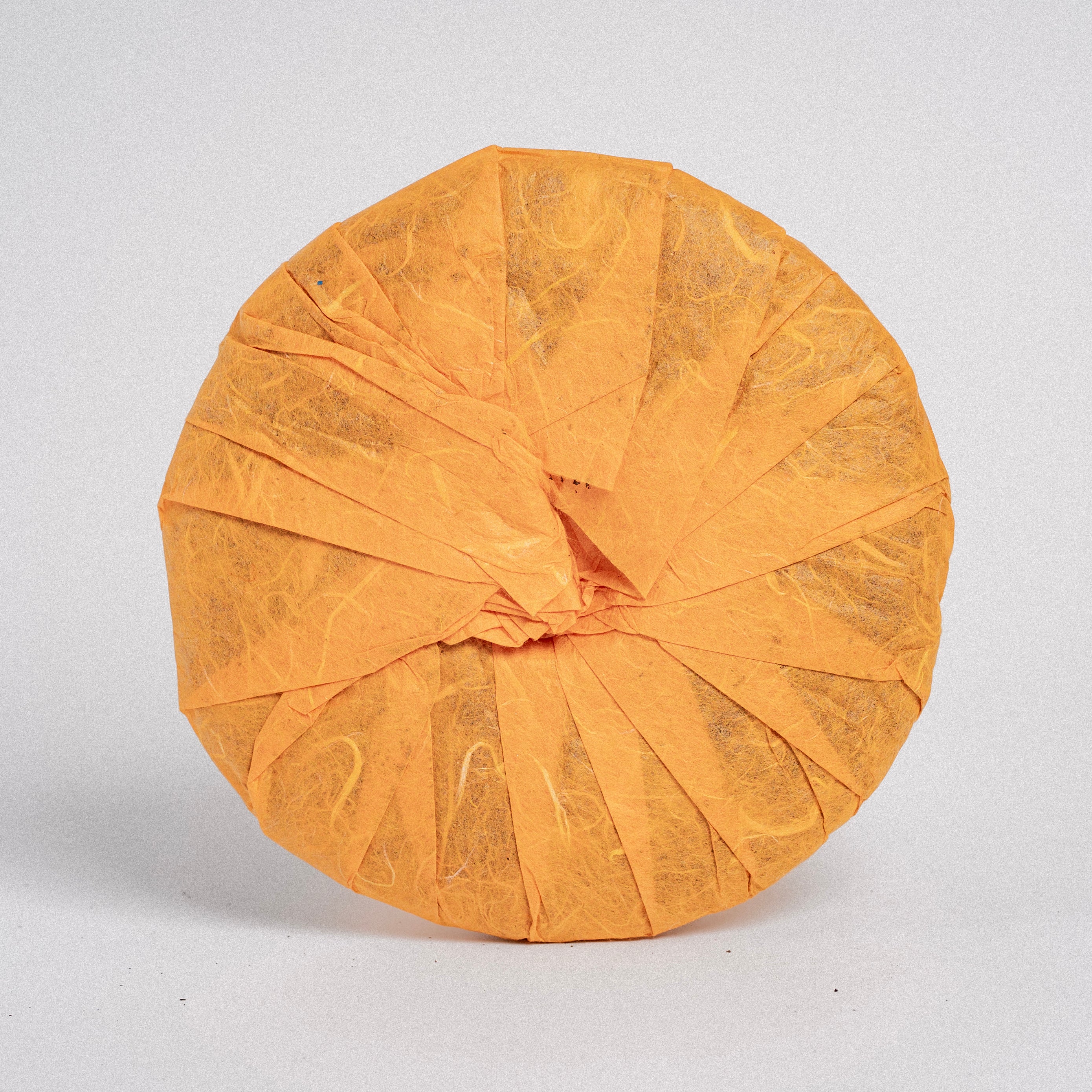 Pu-erh Cake Shu 1991, 200g